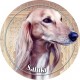 Saluki