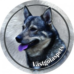 Västgötaspets