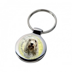 Petit Basset Griffon Vendéen