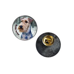 Welsh Terrier