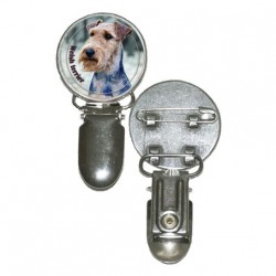 Welsh Terrier