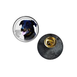 Beauceron