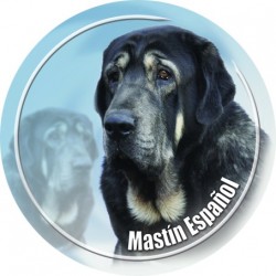 Mastín Espaňol