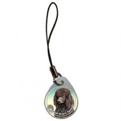 Irish Water Spaniel