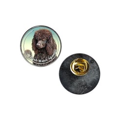 Irish Water Spaniel