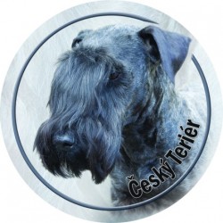 Czech Terrier