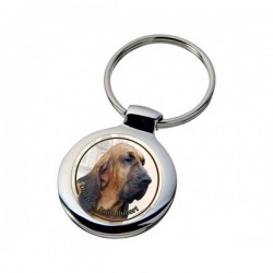 Bloodhound