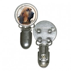 Bloodhound