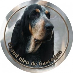 Grand Bleu de Gascogne