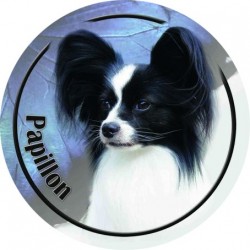 Papillon