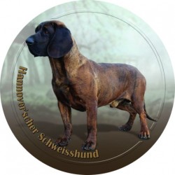 Hannoverscher Schweisshund