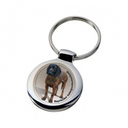 Bayrischer Gebirgsschweisshund