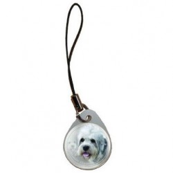 Dandie Dinmont Terrier