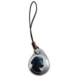 Flat Coated Retriever