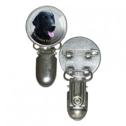 Flat Coated Retriever
