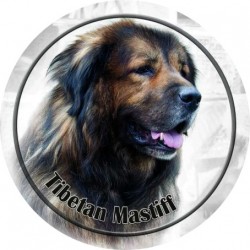 Tibetan Mastiff