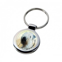 Irish Soft Coated Wheaten Terrier