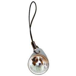 Australian Shepherd
