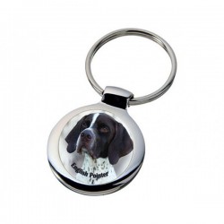 English Pointer
