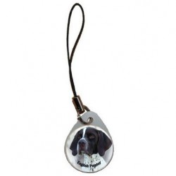 English Pointer