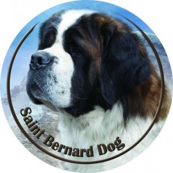St. Bernardshund