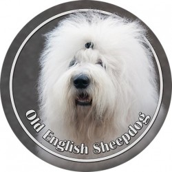 Old English Sheepdog