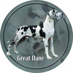 Deutsche Dogge