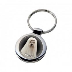 Maltese