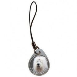 Old English Sheepdog