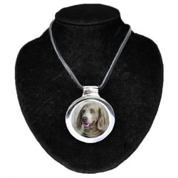 Weimaraner