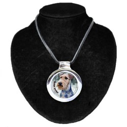 Welsh Terrier