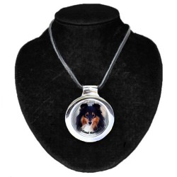 Shetland Sheepdog