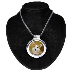 Welsh Corgi