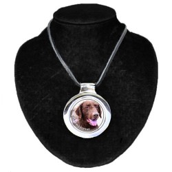 Curly Coated Retriever