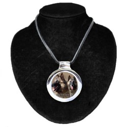 Belgian Shepherd Dog - Tervueren
