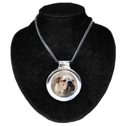 Bulldog