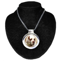 Clumber Spaniel