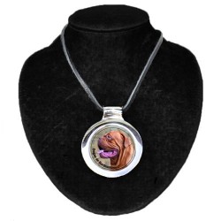 Dogue de Bordeaux