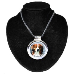 Kooikerhondje