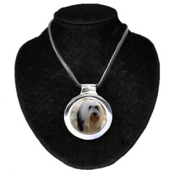 Tibetan Terrier