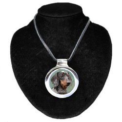 Dachshund