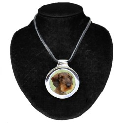 Dachshund