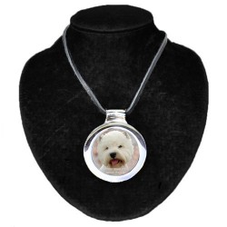 West Highland White Terrier