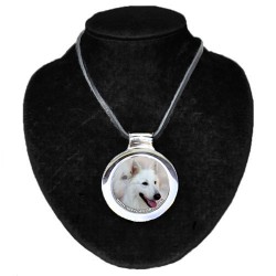 White Swiss Shepherd Dog