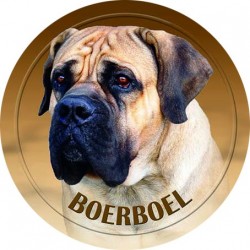 Boerboel