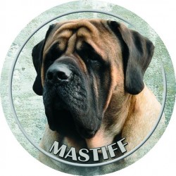 Mastiff