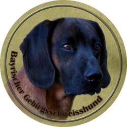 Bayrischer Gebirgsschweisshund
