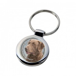 Chesapeake Bay Retriever