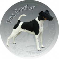 Fox Terrier