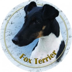 Fox Terrier